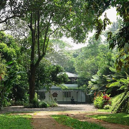 Vila Breezy Point Vagamon Exteriér fotografie