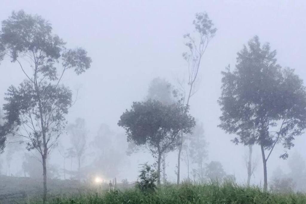 Vila Breezy Point Vagamon Exteriér fotografie